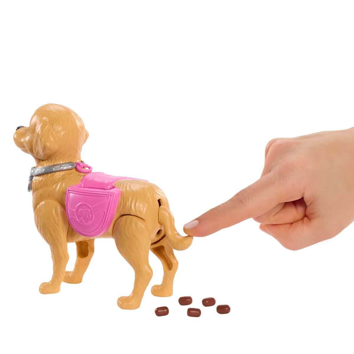 barbie-ve-kopekcigin-yuruyus-zamani-oyun-seti-jjb46-4.jpeg