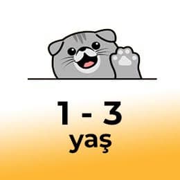 1 -3 yaş özelliği